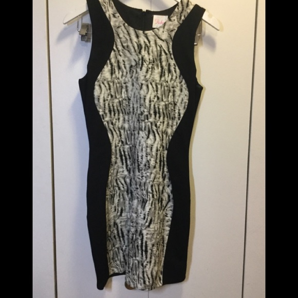 Parker Zebra Tank Dress, sz 2 - Picture 2 of 5